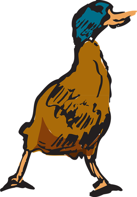 Free bird duck style vector