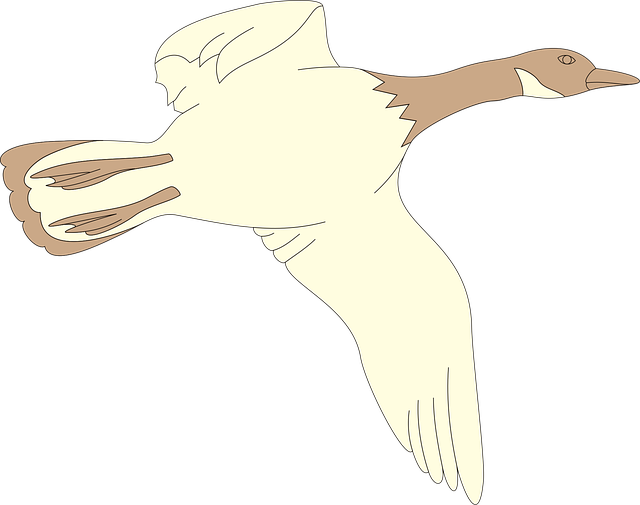 Free goose flying bird vector