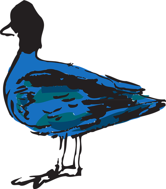 Free blue bird duck vector