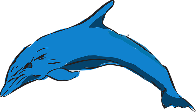 Download free HD stock image of Dolphin Blue Free dolphin blue ocean vector