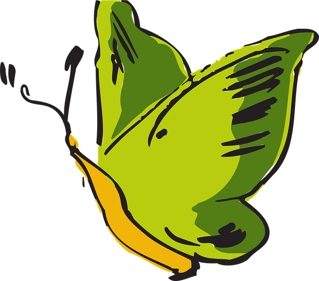 Free butterfly green flying illustration