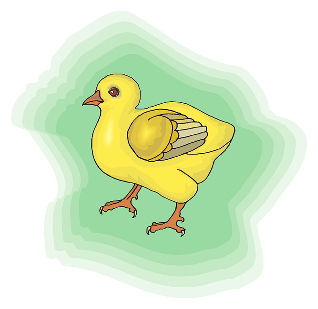 Free baby bird yellow vector