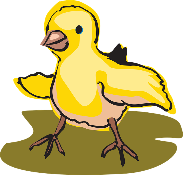 Free baby bird walking vector