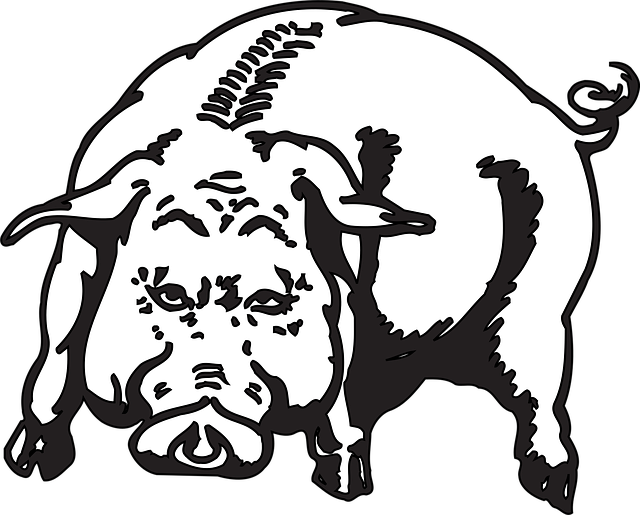 Verärgert, Natur, Schwein, Tier