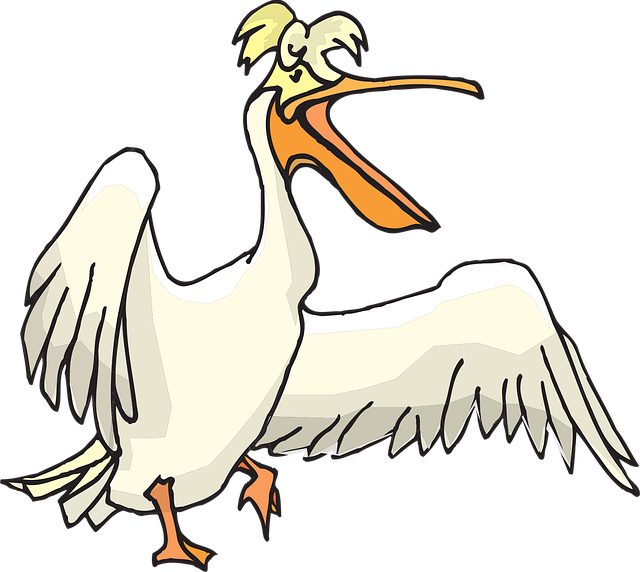 Free pelican seabird pouch vector