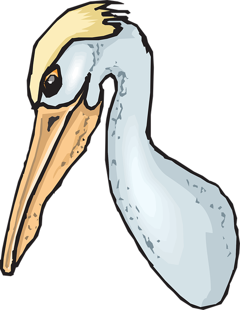Free pelican seabird pouch vector