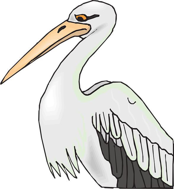 Free pelican bird grey vector