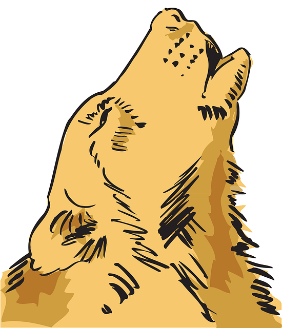 Free head wolf loud vector