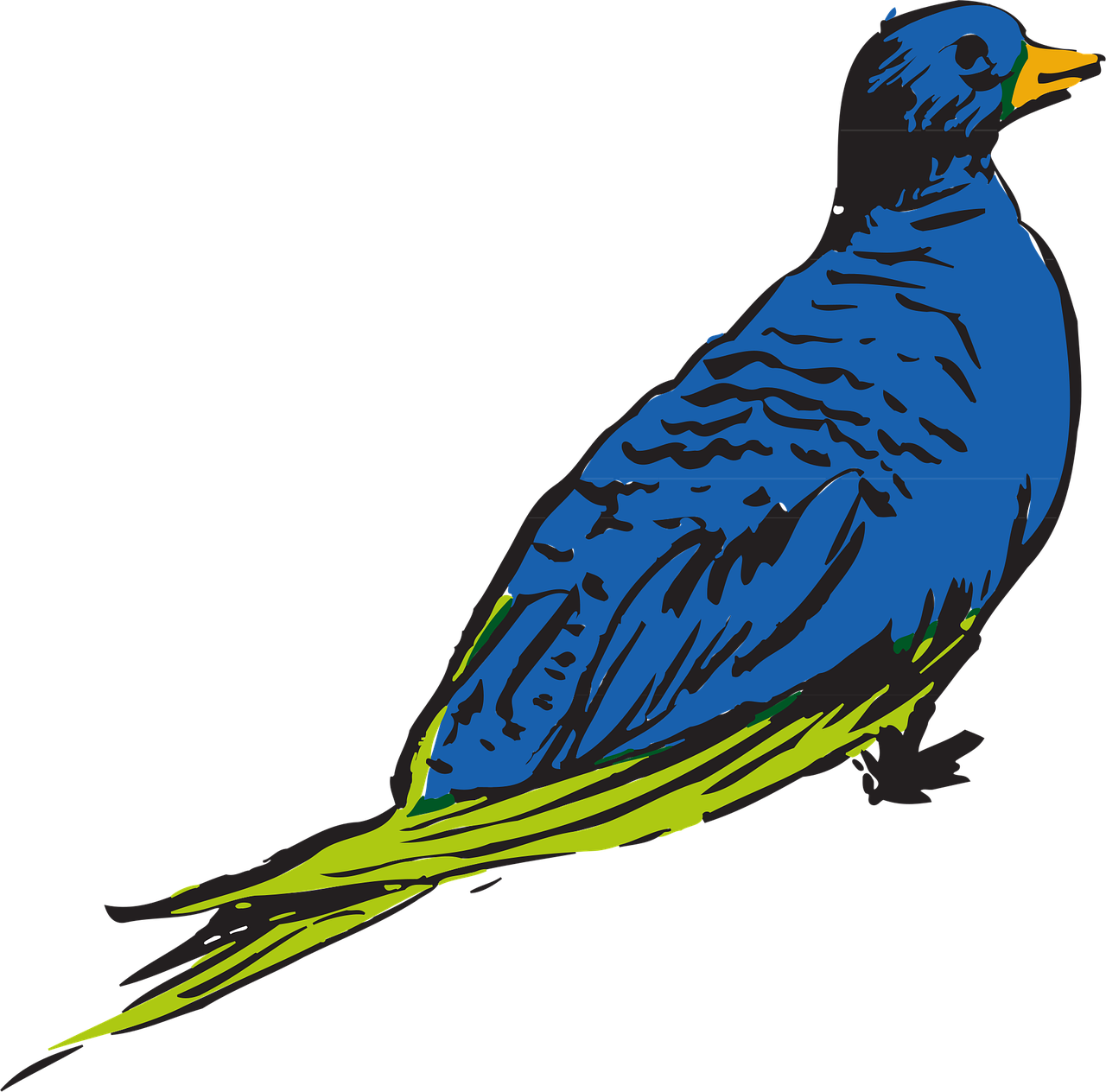 Download Blue, Bird, Wings. RoyaltyFree Vector Graphic Pixabay