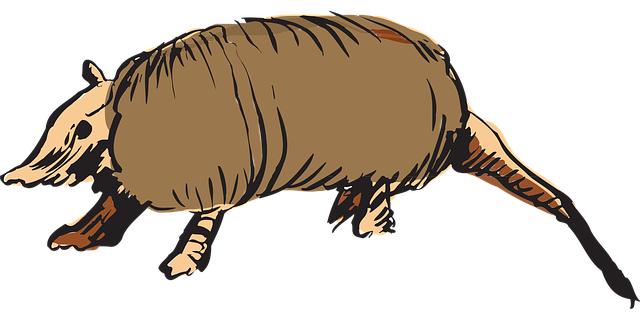 Free armadillo brown animal vector