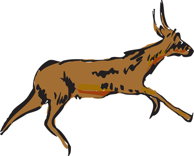 Antilope, Redd, Natur, Dyr, Horn, Skog