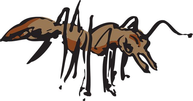 Free ant insect crawling vector