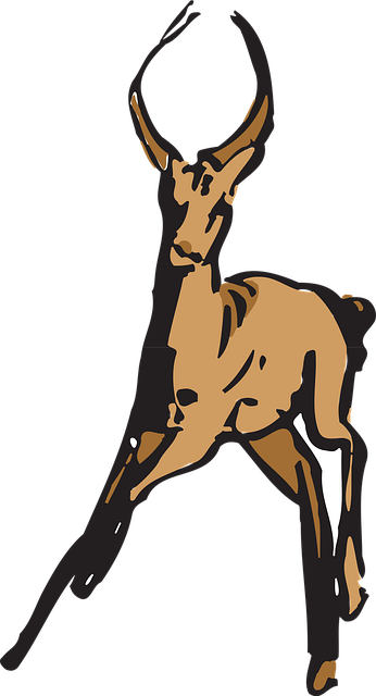 Free antelope animal horns illustration