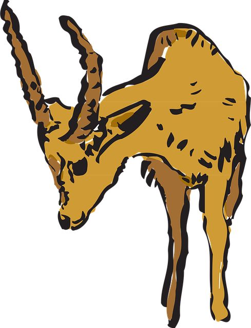 Antilope, Natur, Nysgjerrig, Dyr, Horn