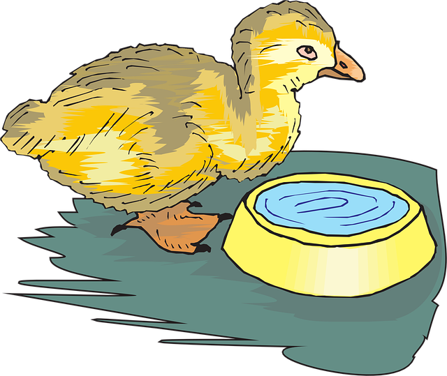 Eendje, Baby, Vogel, Geel, Klein, Eenden