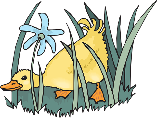 Free duckling baby flower wallpaper illustration