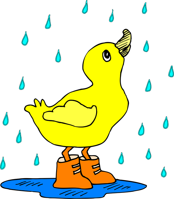 Free baby bird duck vector