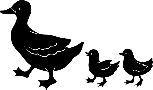 Free ducks ducklings birds vector