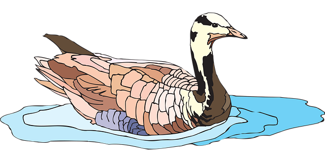 Free water bird nature illustration