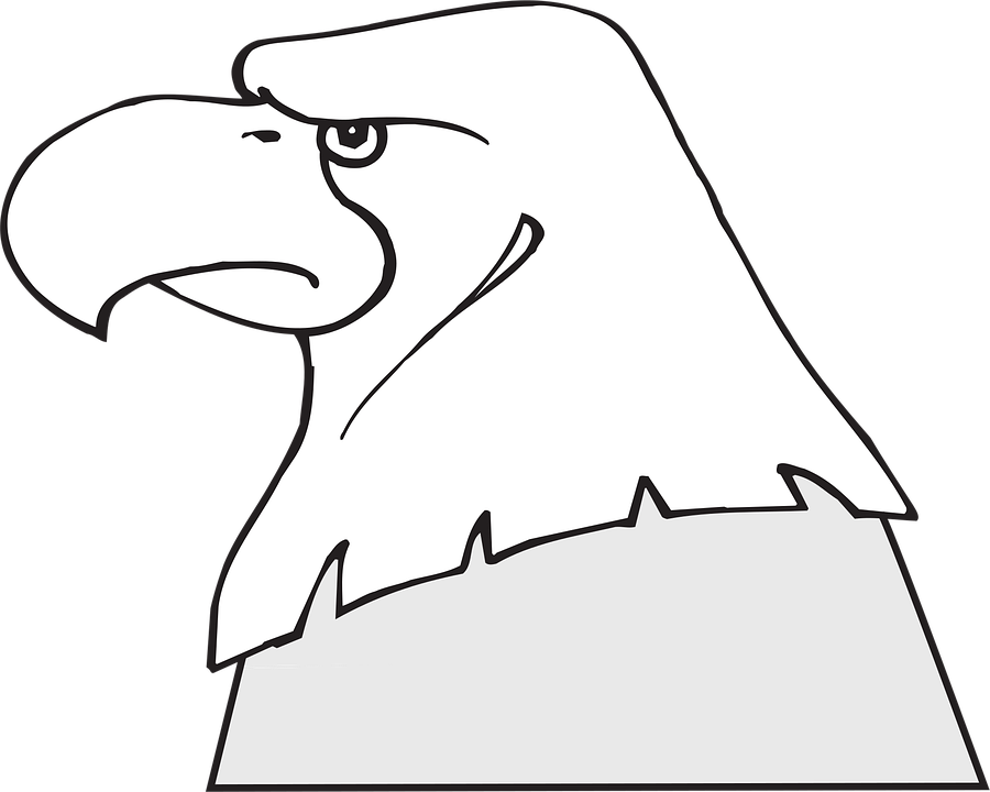 Kepala Elang Burung Gambar Vektor Gratis Di Pixabay