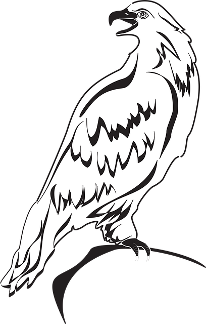 Download free HD stock image of Back Eagle Free back eagle bird vector