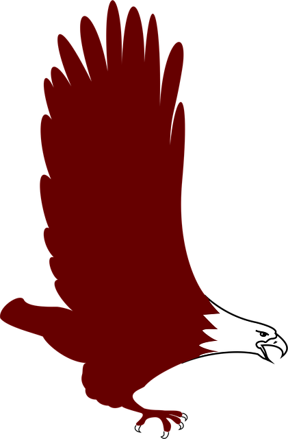 Free eagle bird flying vector