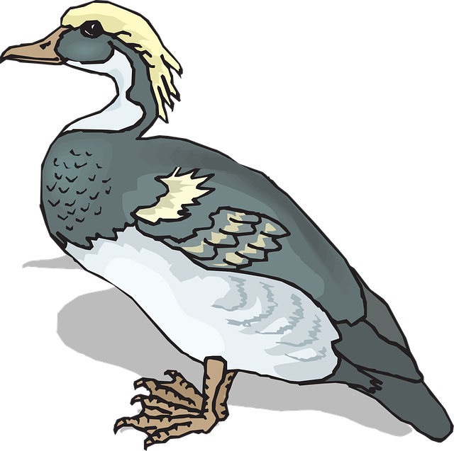 Free blue yellow bird illustration