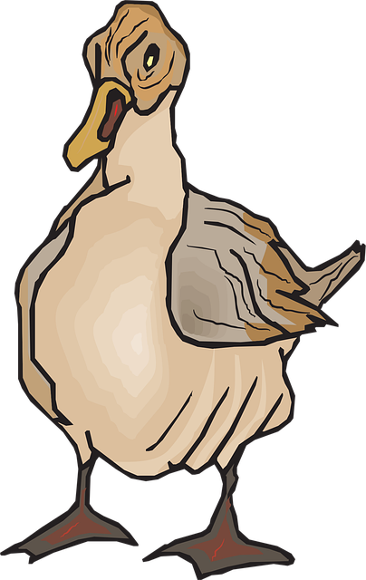 Free brown duck wings vector