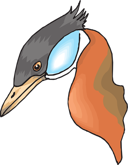 Free head bird duck illustration