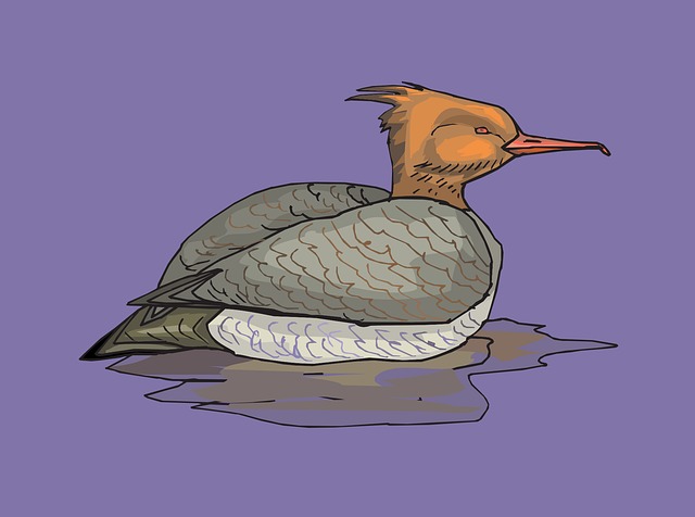 Free water brown orange illustration