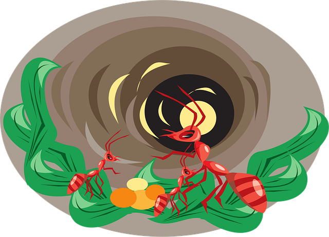 Free hole leaves nature vector