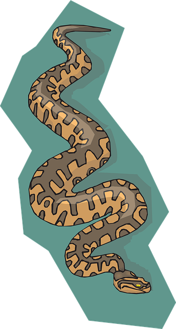 Free snake brown beautiful wallpaper vector