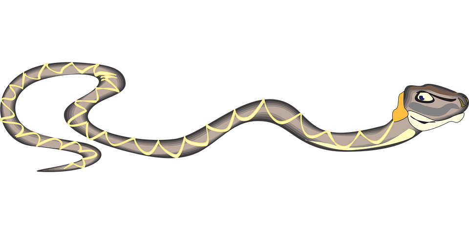 Over 200 Free Snake Vectors - Pixabay - Pixabay