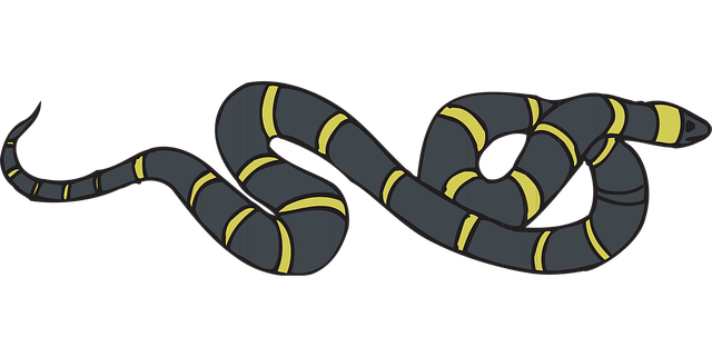 Free snake black yellow vector