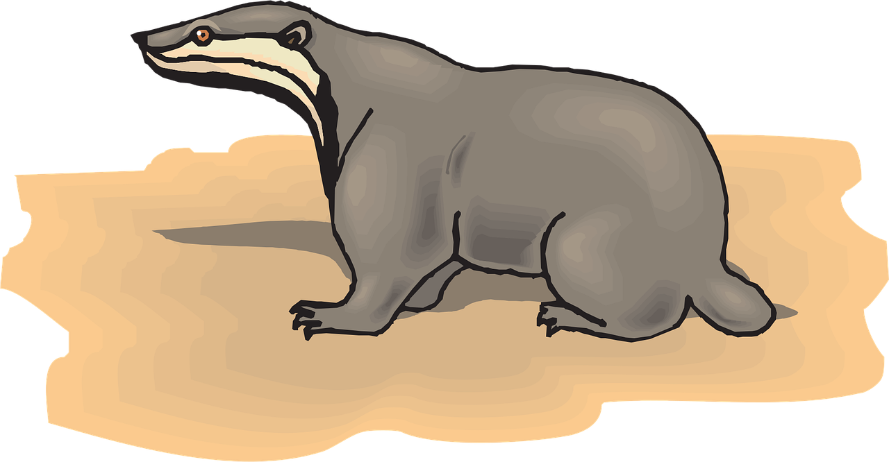 200 Free Sloth Nature Images Pixabay 200 free sloth nature images pixabay