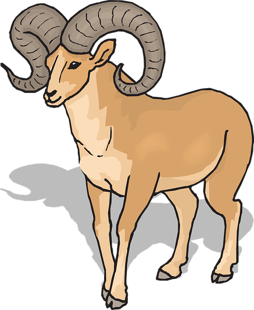 Free view shadow sheep vector