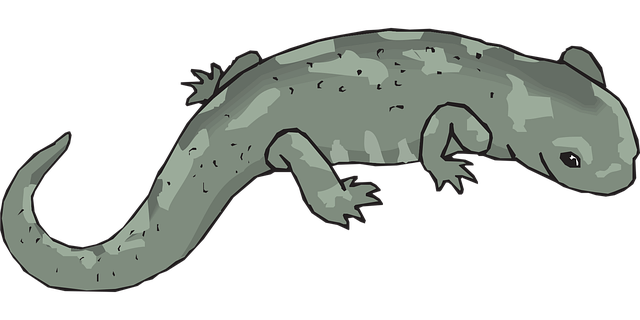 Free green big salamander vector