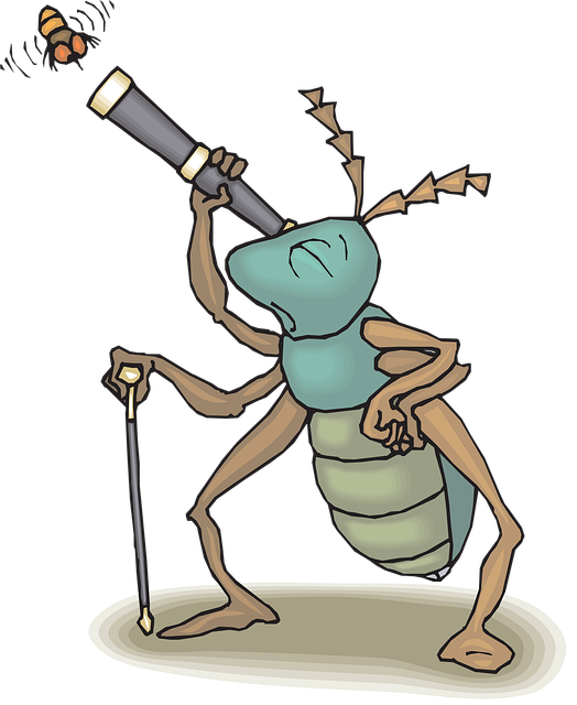 Telescoop, Kever, Insect, Vlieg