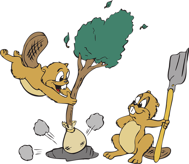 Animales, Árbol, Pala, Naturaleza