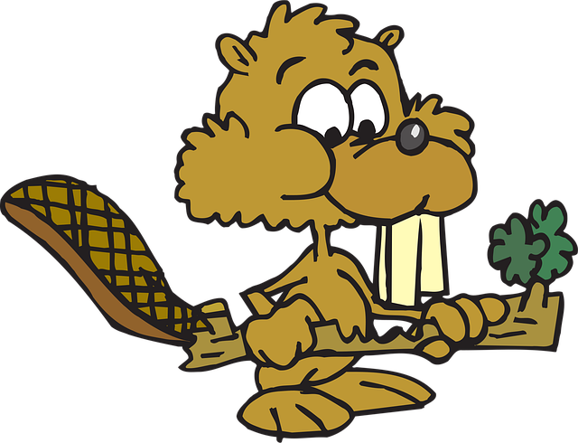 Free food beaver eating vector