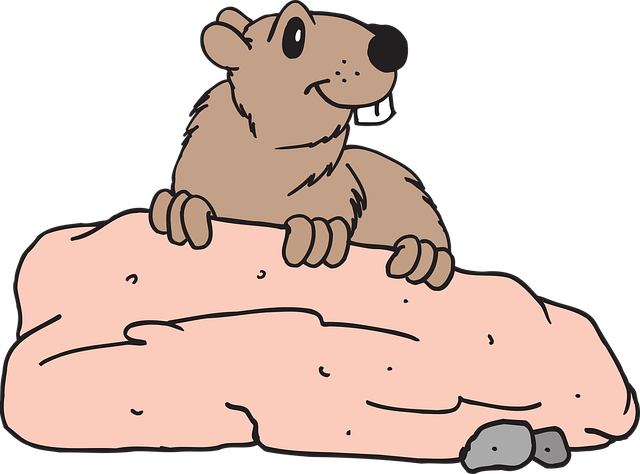 Free rock beaver animal vector