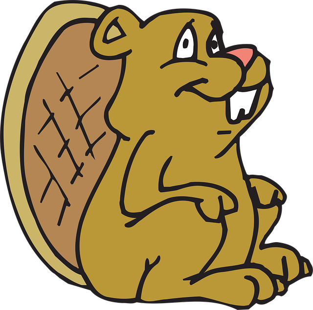 Free beaver nature sitting vector