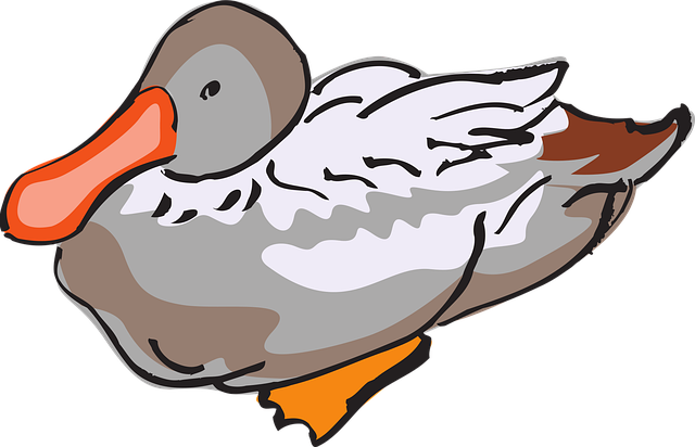 Eend, Vogel, Dieren In Het Wild