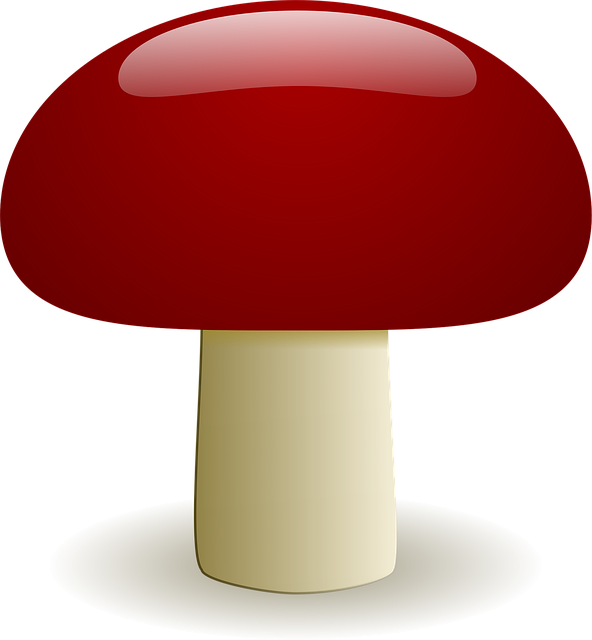 Pilz, Herbst, Wald, Pflanze, Natur