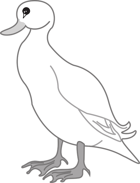 Free duck bird animal vector