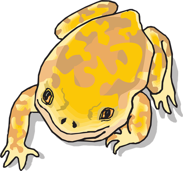 Free frog amphibian tropical vector