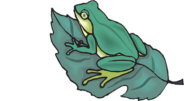 Free frog amphibian tropical vector