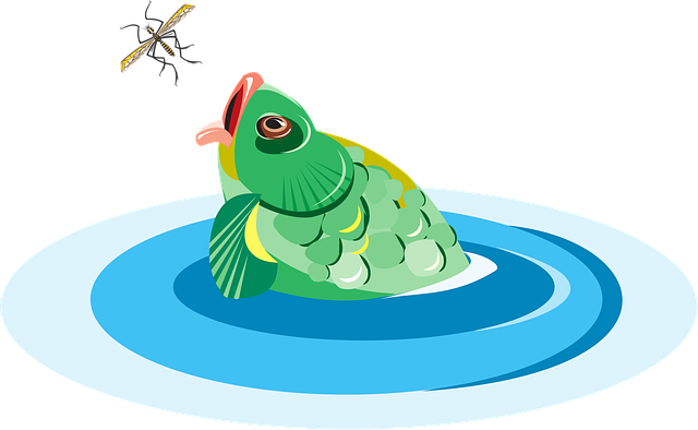 Free fish bug nature vector