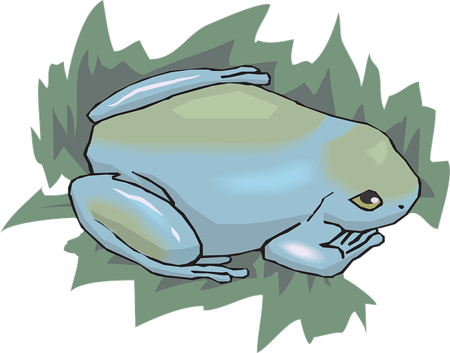 Free frog amphibian rainforest vector