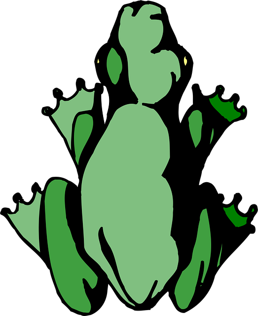 Free frog amphibian rainforest vector